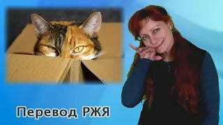 Почему котам нравятся коробки? (перевод РЖЯ)