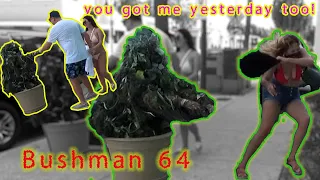 bushman 64 you got me yesterday too!