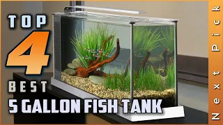 Top Picks 4 Best 5 Gallon Fish Tank Review in 2023 |