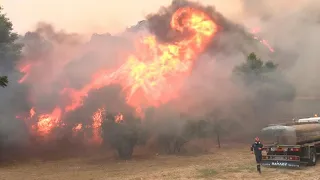 Wildfire inferno rages near Athens as Greece orders residents to evacuate | AFP