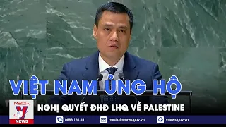 Việt Nam ủng hộ nghị quyết Đại hội đồng LHQ về Palestine - VNews