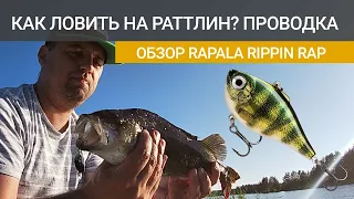 Ловля окуня и щуки на раттлины. Как ловить? Проводка, особенности. Обзор Rapala Rippin Rap 05