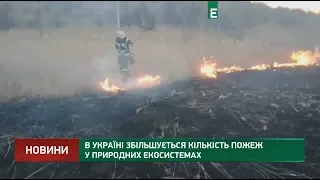 В Україні збільшується кількість пожеж у природних екосистемах