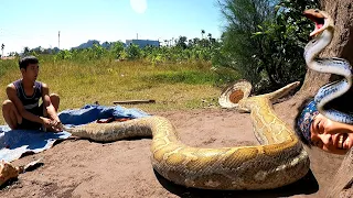 Terrified, A young man caught a dragon snake attacked by a giant python | Hunter Survival TV