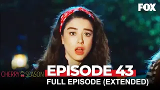 Cherry Season Episode 43 (Extended Version)