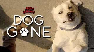 Si no lo encuentran M0R1RÁ 🐶 (Dog Gone/Perro Perdido) 2023 RESUMEN EN 12 MINUTOS | Netflix