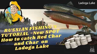 RUSSIAN FISHING 4 TUTORIAL - New SPOT - How to catch Red Char and Char  on Ladoga Lake - Texas Rig -