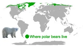 Where Different Animals Live - Maps