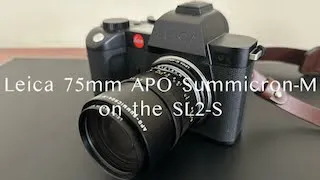Using my Leica 75mm M Lens on the SL2-S -- Photowalk