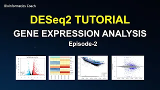 How to analyze RNA Seq Gene Expression data using DESeq2 - Episode-2-Cancer Cell lines