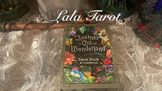 Kickstarter | Journey to Oz and Wonderland Tarot ✨