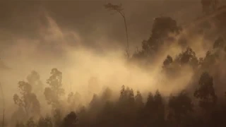 Parque das Serras do Porto - documentário natural da autoria de Paulo Ferreira