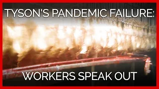 Tyson's Pandemic Failure: Workers Speak Out
