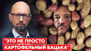 Яценюк: Лукашенко нашел себе новых хозяев