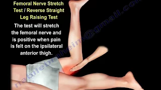 Tests For Examination of the  Lower  Back  - Everything You Need To Know - Dr. Nabil Ebraheim