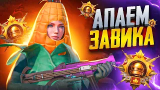 ПУШИМ ЗАВОЕВАТЕЛЯ В НОВОМ СЕЗОНЕ PUBG MOBILE 🥵 ОБНОВЛЕНИЕ 2.8 💜 РАЗДАЧА 325 UC В ЧАТЕ 💜 ПУБГ МОБАИЛ