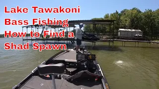 How to Find a Shad Spawn - Tawakoni Bass Champs Practice