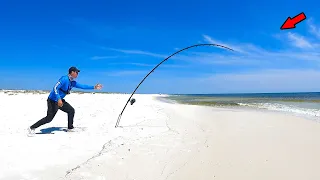 This Is Why You Use Big Baits from the Beach!