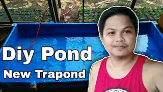 How i make Pond for mollies and guppies | DiY Pond , New Pond , Pond for Guppies