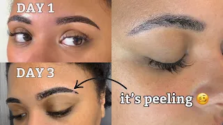 HEALING PROCESS DAY BY DAY AFTER GETTING MY EYEBROWS MICROSHADED!