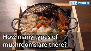 How many types of mushrooms are there? (2 Days & 1 Night Season 4 Ep.122-5) | KBS WORLD TV 220501