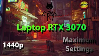 Stray Gameplay on Laptop RTX 3070, Max Settings, 1440p