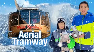 Palm Springs Aerial Tramway 2024 Travel Tips + Sledding at Mount San Jacinto State Park