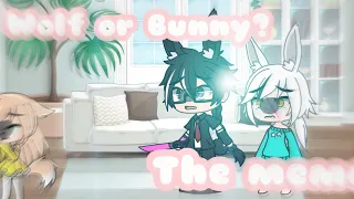 Wolf or Bunny? /meme/song by All my Friends are toxic /Trends/Gacha life Malaysia