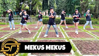 MEKUS MEKUS ( Dj Kent James Remix ) - Mr. Nobodydudy | Dance Trends | Dance Fitness | Zumba