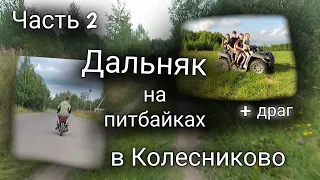 Дальняк на питбайках / часть 2 /