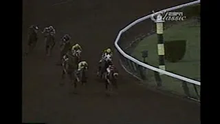1989 Breeders Cup Classic "Sunday Silence vs Easy Goer"