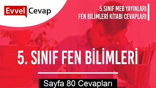 5. Sınıf Fen Bilimleri Ders Kitabı Cevapları Meb Yayınları Sayfa 80