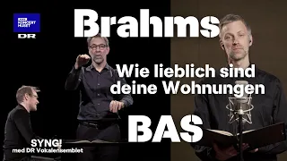 Brahms, Wie lieblich sind deine Wohnungen - basstemme // SYNG! med DR Vokalensemblet