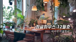 아듀! 2021년 마지막 식물 근황 총출동🌿 올 한 해 함께해 주셔서 감사합니다! / 2021 winter plant room-tour