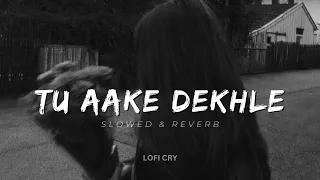 King - Tu Aake Dekhle | Slowed & Reverb | LOFI CRY