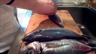 How to dress horse mackerel (moonfish): Sashimi prep. Japanese cuisine.
