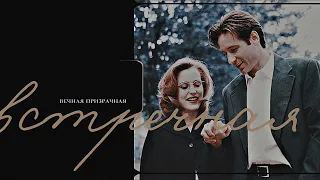 mulder & scully ✧*:･ﾟ вечная призрачная встречная