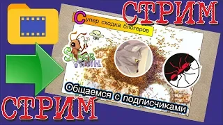 Введение и стрим от 8 июля 2018 г. с моим участием.