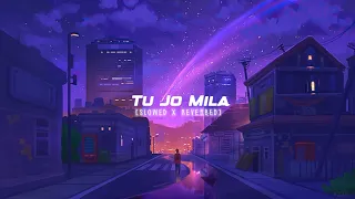 Tu Jo Mila | Lo-fi | Slowed X Reverbed | LofiChillOut