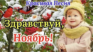 Здравствуй, Ноябрь!🍁❄️С Добрым Утром Ноября! Красивая Песня! 1 Ноября!Музыкальная Открытка Пожелание