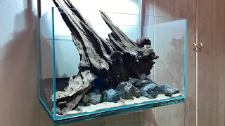 ADA 60P Creating a Classic Nature Aquarium Style Aquascape with Giant Driftwood