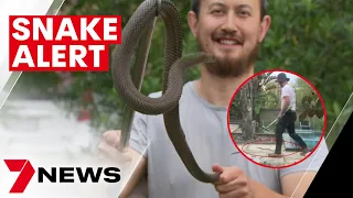 Snake hunter ends up in hospital after a backyard close call | 7NEWS