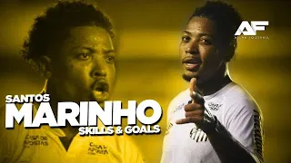 Marinho 2020/21 - Super Skills & Goals - HD