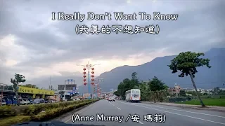 I Really Don't Want To Know / 我真的不想知道  (Anne Murray / 安 瑪莉) (4K 5.1聲道) (中文翻譯)