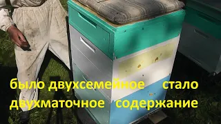 двухсемейное ,двухматочное  содержание