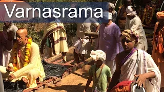 Varnasrama