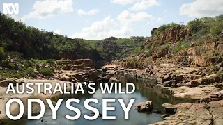 A bird's eye view of Australia's unique landscapes (Slow TV) | Australia's Wild Odyssey