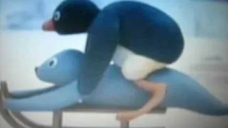 Pingu and seal Having sex