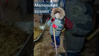 маленький хозяин