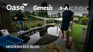 Modern Koi Blog #5367 - Schweiz Spezial: Beate und Rolands Koiteich